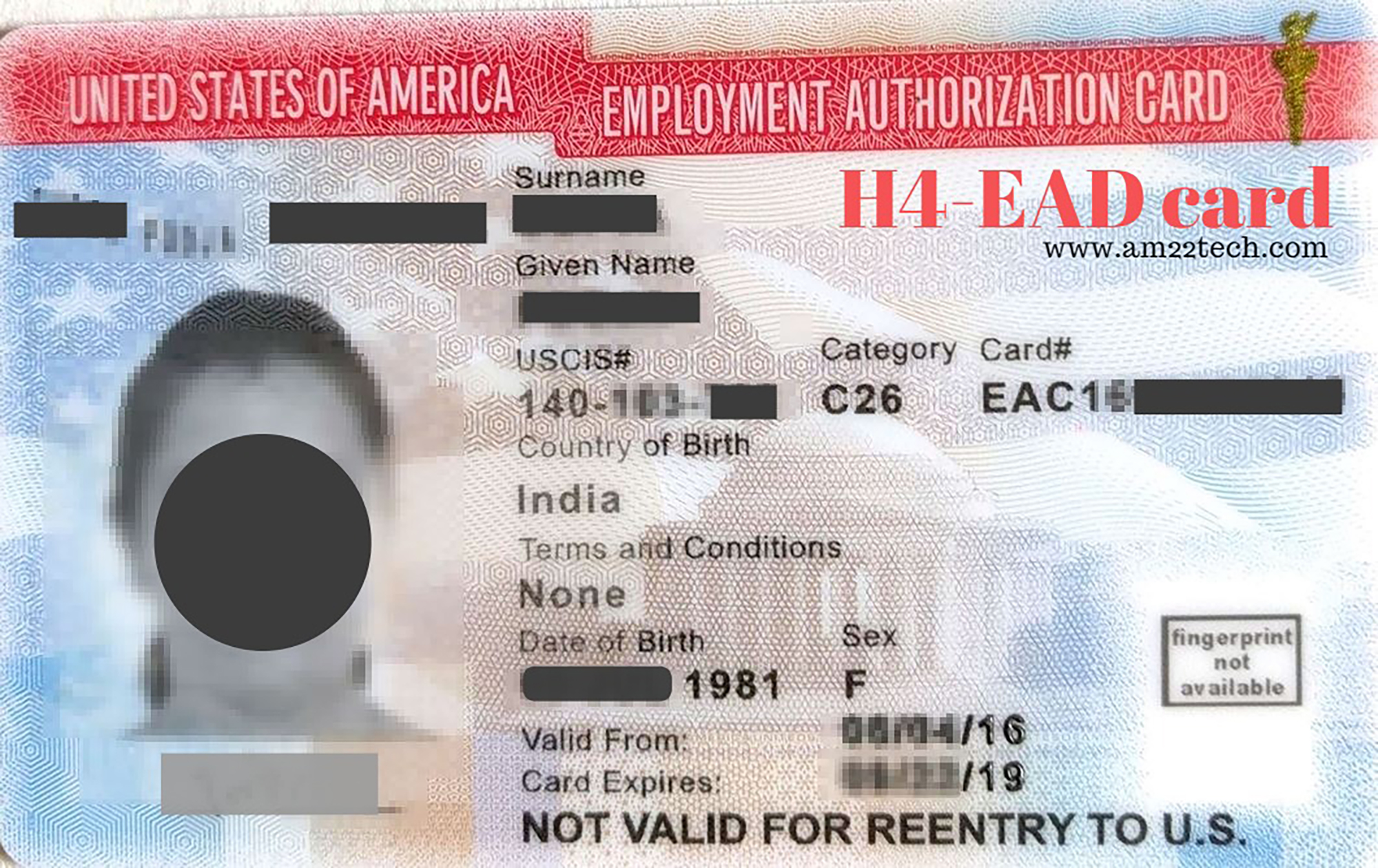 The Unbearable Burden Being on a Dependent Visa in America - American Kahan...