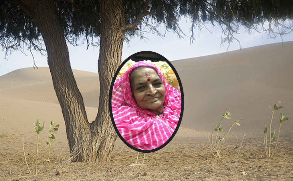 The Maldhok in the Desert