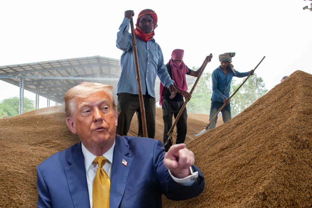 Donald Trump Rice The Basmati Battle: Trump's Rice Tariff Threat Exposes Complex Reality ...